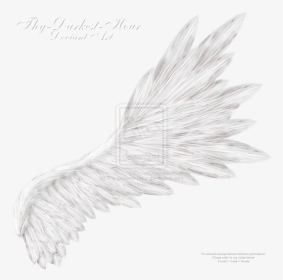 Transparent Background Angel Wings Realistic Png, Png Download, Transparent PNG