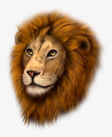 Tubes Animaux,psp - Masai Lion, HD Png Download, Transparent PNG