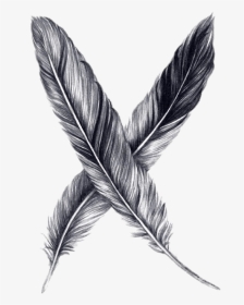 Drawing Feather Pencil Sketch - Drawing Black And White Feather, HD Png Download, Transparent PNG