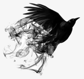 #bird #smoke #freetoedit - Black Smoke Png Bird, Transparent Png, Transparent PNG