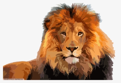 وجه اسد Png, Transparent Png, Transparent PNG