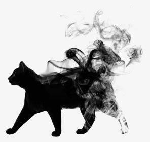 #blackandwhite #cat #animal #black #smoke - Picsart Smoke Black Png, Transparent Png, Transparent PNG