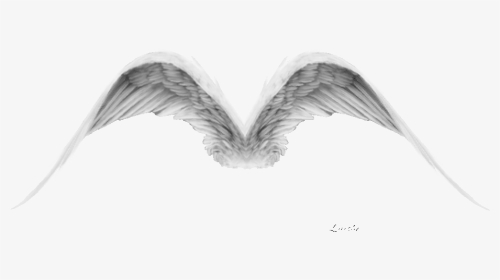 Thumb Image - Angel Wings Flying Gif, HD Png Download, Transparent PNG