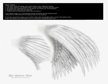 Dual White Med Png - Angel Wings Side View Png, Transparent Png, Transparent PNG