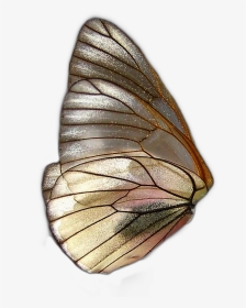 #butterfly #butterflys #wing #wings #farfalla #farfalle - Fairy Wings Png, Transparent Png, Transparent PNG