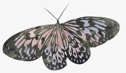 #butterfly #scrapelement - Riodinidae, HD Png Download, Transparent PNG