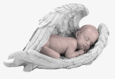 Donation   Class Details Gallery Picture Details Gallery - Stillborn Babies, HD Png Download, Transparent PNG
