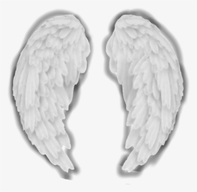 #angel #wings #aesthetic #white #complex #edit #complexedit - Pigeons And Doves, HD Png Download, Transparent PNG