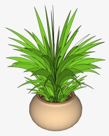 Plant Png Sketchup, Transparent Png, Transparent PNG