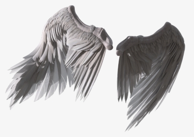 #wings #angel #fly - Sketch, HD Png Download, Transparent PNG