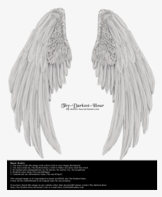 Winged Fantasy V2 - Angel With Wings Folded, HD Png Download, Transparent PNG