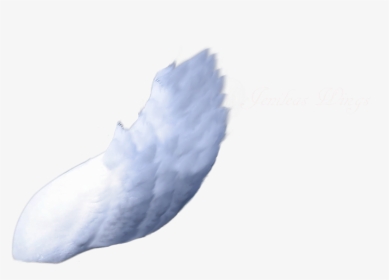 Side Wing Render By - Wings Right Side Png, Transparent Png, Transparent PNG