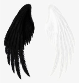#wings #black #white #black And White - Red Angel Wings Png, Transparent Png, Transparent PNG