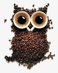 Coffe Photography, HD Png Download, Transparent PNG