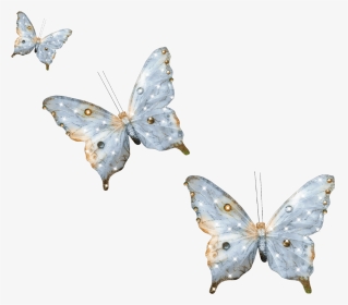 #blue #flower #butterfly #floral #soft #cute #aesthetic - Mariposa Jpeg, HD Png Download, Transparent PNG