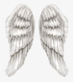 Free Transparent Angel Wing, HD Png Download, Transparent PNG
