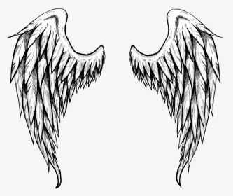 Archangel Drawing Free Download On Unixtitan - Open Angel Wings Drawing, HD Png Download, Transparent PNG