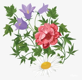 Flower Floral Design Clip Art Transprent - Transparent Background Flowers Clipart, HD Png Download, Transparent PNG