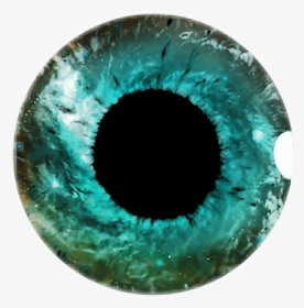 #eye #lenses #colouredlenses #colorful #fun #pupil - Circle, HD Png Download, Transparent PNG