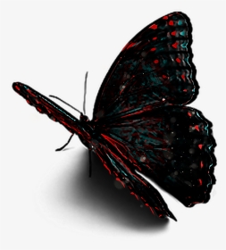 #ftestickers #butterfly, HD Png Download, Transparent PNG