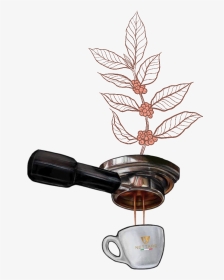 Coffee Tree To Cup, HD Png Download, Transparent PNG