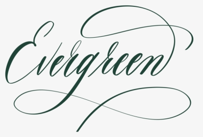Evergreen In Calligraphy - Calligraphy, HD Png Download, Transparent PNG