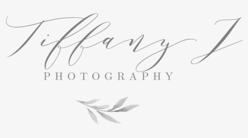Los Angeles Wedding Photographer, HD Png Download, Transparent PNG