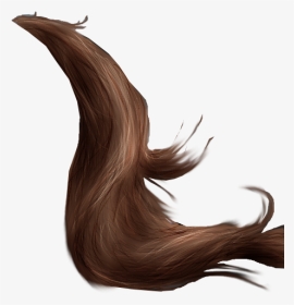 Horse Tail Png 2 By Peachesrox-stock On Deviantart - Horse Tail Png, Transparent Png, Transparent PNG