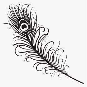 Turkey Feathers Clipart Black And White Vector Free - Easy To Draw Peacock Feather, HD Png Download, Transparent PNG