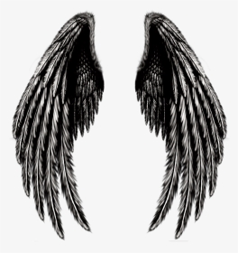 #angel #wings #angelwings #blackandwhite - Transparent Pink Angel Wings, HD Png Download, Transparent PNG