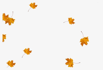 Falling Leaves For Photoshop, HD Png Download, Transparent PNG