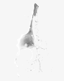 Image Milk Vector Liquid - Spilled Milk Brush Photoshop, HD Png Download, Transparent PNG