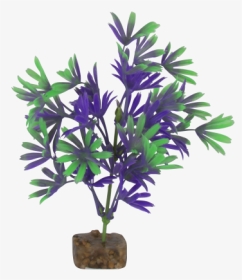 Tetra Glofish Medium Purple/green Plant - Bonsai, HD Png Download, Transparent PNG