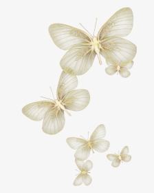 #butterfly #wing #moth #fly #sky #yellow #glitter #wind - Transparent White Butterfly Png, Png Download, Transparent PNG