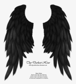Real Angel Win Angel Wings Png - Black Angel Wings Png, Transparent Png, Transparent PNG