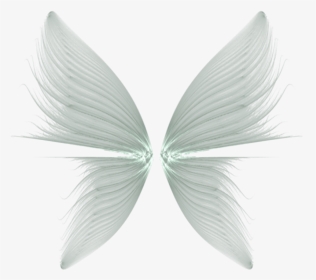 Butterfly Wings Transparent Background, HD Png Download, Transparent PNG
