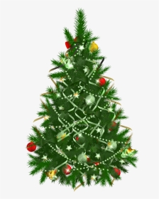 Transparent Christmas Tree Clipart Free, HD Png Download, Transparent PNG