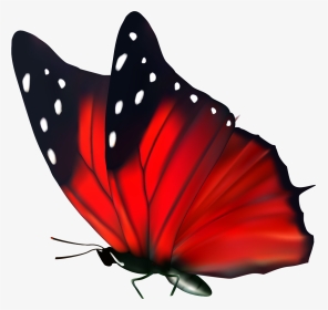 Free Butterfly Png Red, Transparent Png, Transparent PNG