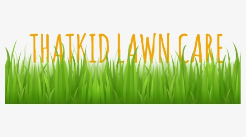 Lawn Mowing - Trimming - Watering - Edging - Thatching - Grass Vector Free, HD Png Download, Transparent PNG