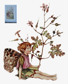 8 Kbytes - Book Of The Flower Fairies, HD Png Download, Transparent PNG