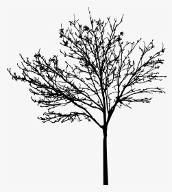 Tree Clip Art - Bare Tree Free Clipart, HD Png Download, Transparent PNG