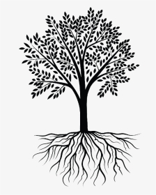 Clip Art Root Vector Graphics Tree Wall Decal - Tree With Roots Clipart Png, Transparent Png, Transparent PNG