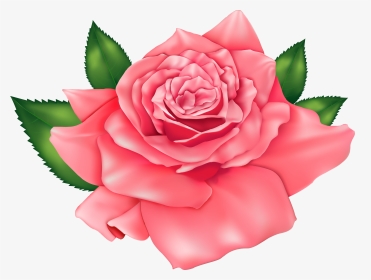 Pink Beautiful Rose Png Clipart Image - Good Afternoon And God Bless, Transparent Png, Transparent PNG