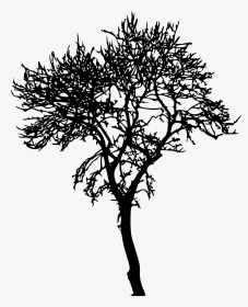 Tree Silhouette No Background, HD Png Download, Transparent PNG