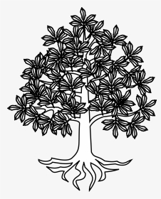 Tree Roots Vector Png , Png Download - Châtaignier Héraldique, Transparent Png, Transparent PNG