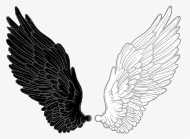 #wing #wings #angel #demon #angelwings #demonwings - Demoj And Angel Wings, HD Png Download, Transparent PNG
