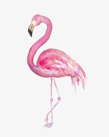 Flamingofinal - Flamingo Gezeichnet, HD Png Download, Transparent PNG