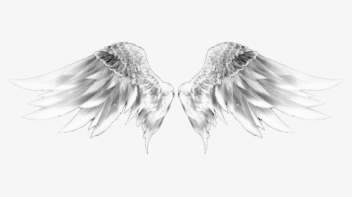#wingsofanangel #wings #wings #whitewings #dubrootsgirlremix - Sketch, HD Png Download, Transparent PNG