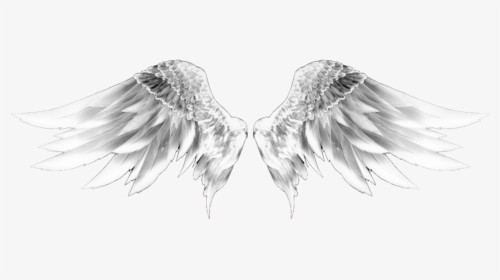 #wingsofanangel #wings #wings #whitewings #dubrootsgirlremix - Sketch, HD Png Download, Transparent PNG