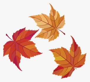 #ftestickers #fall #autumn #leaf #leaves #freetoedit - Maple Leaf, HD Png Download, Transparent PNG